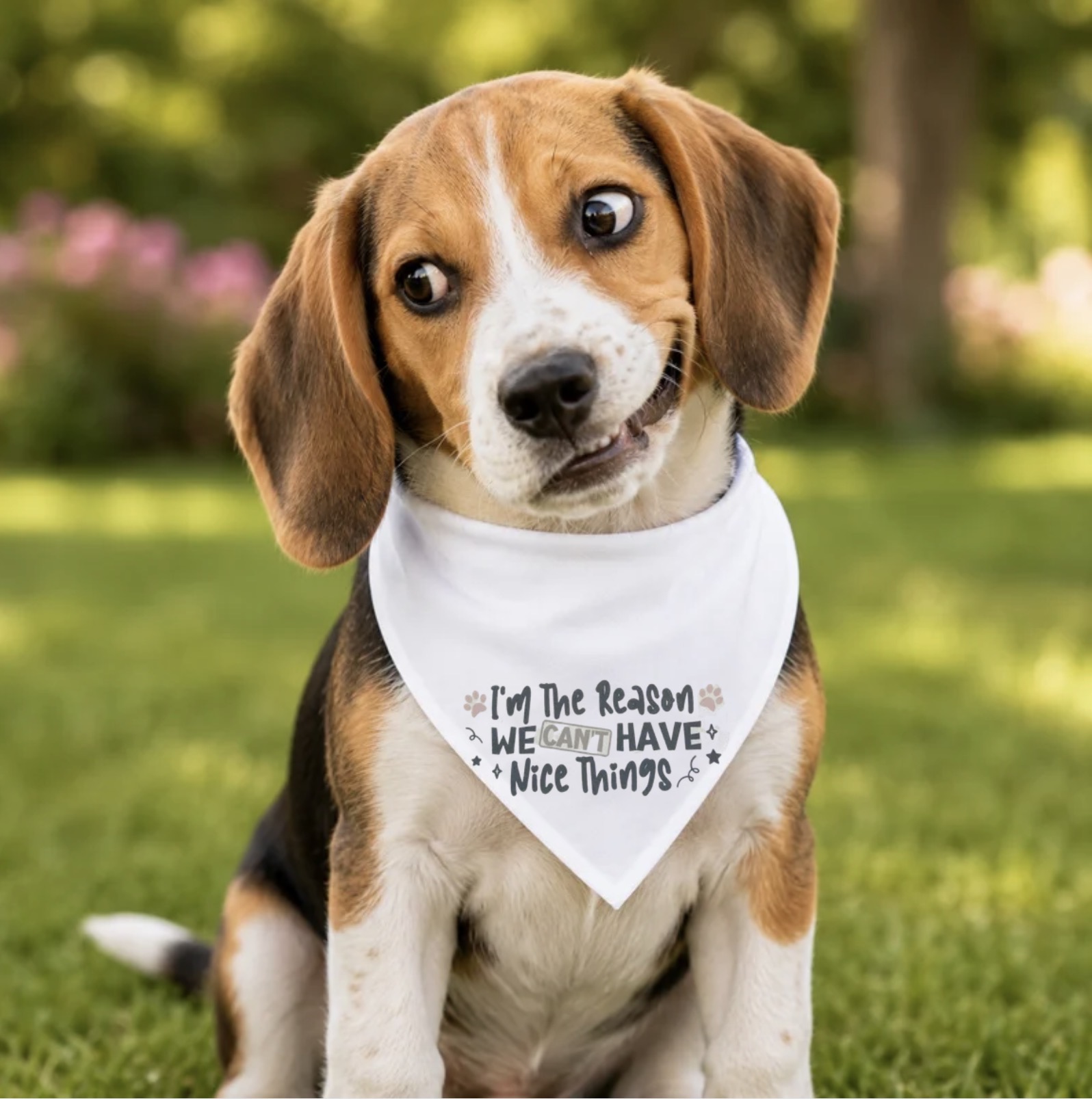 Dog bandana featured in New in the Shop